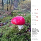 Oktober 2020